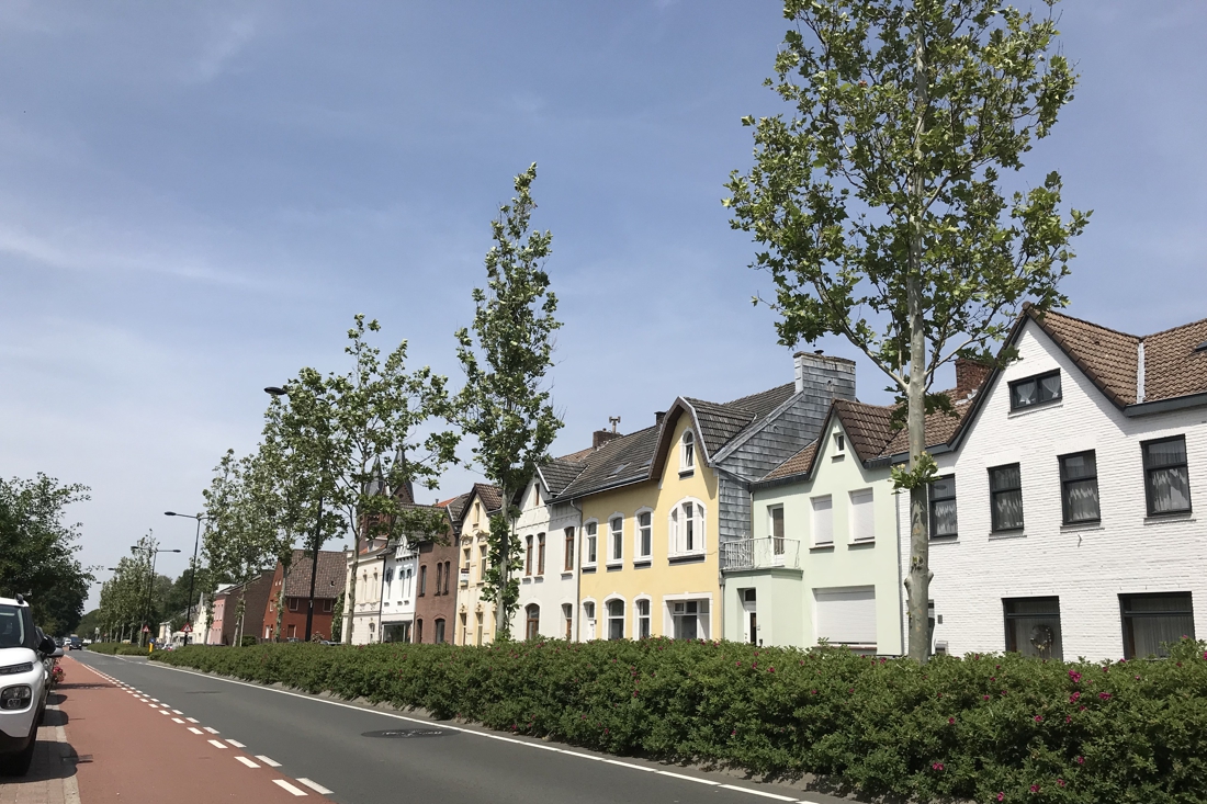 Wethouder: begroeiing middenberm Lemiers te gevaarlijk